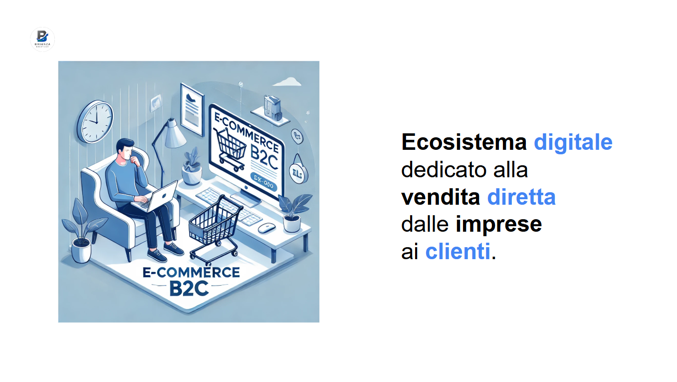 Definizione di Ecommerce B2C